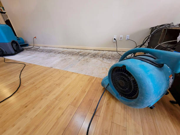 Professional Water Removal technician working in Casco, ME